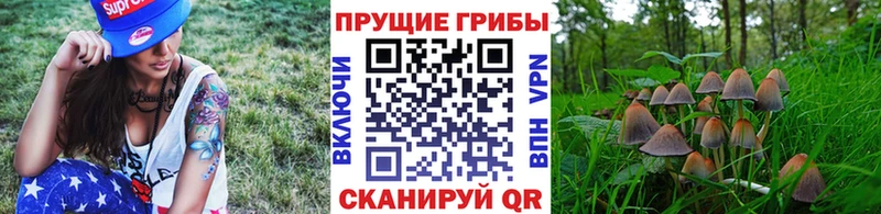 Псилоцибиновые грибы мицелий  Нелидово 
